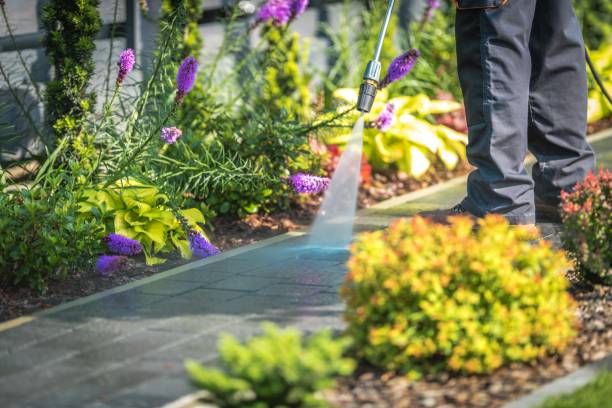 Best Concrete Surface Cleaning in West Ack, NY