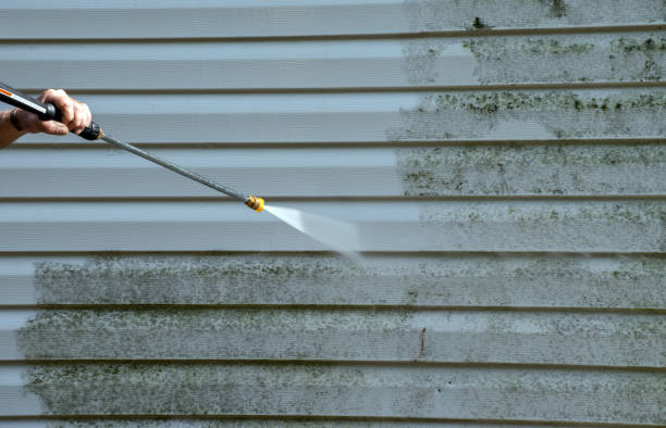 Best Soft Washing for Delicate Surfaces in West Ack, NY